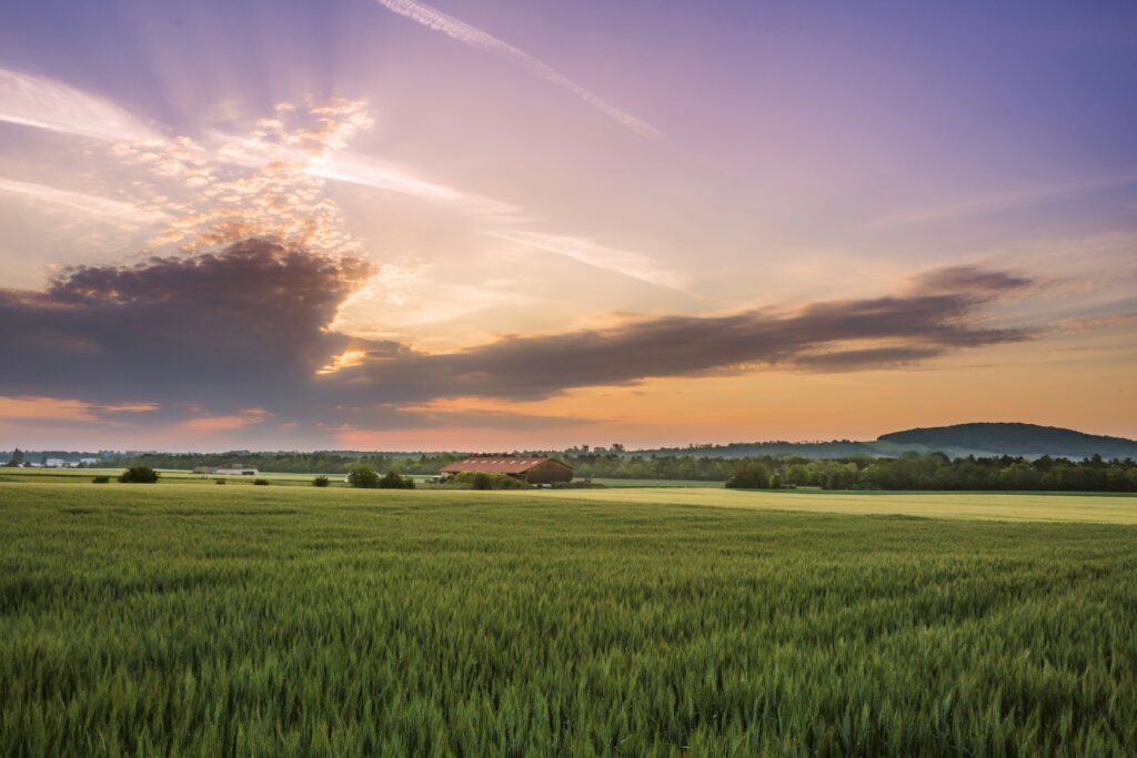Sunrise over a peaceful field representing new beginnings, healthy boundaries, and personal growth.