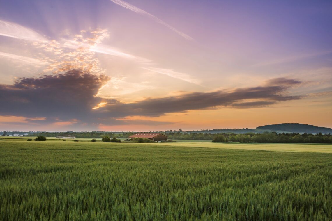 Sunrise over a peaceful field representing new beginnings, healthy boundaries, and personal growth.
