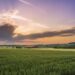 Sunrise over a peaceful field representing new beginnings, healthy boundaries, and personal growth.