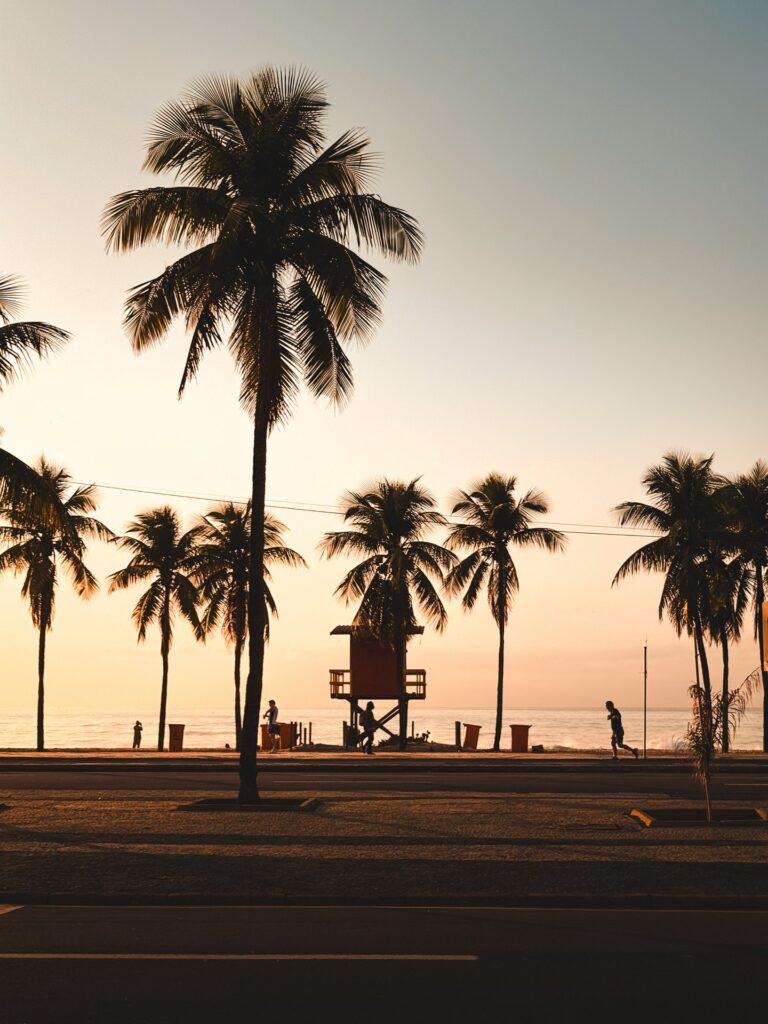 Palm trees at sunset representing peace, healing, and slowing down to reconnect with your body.
