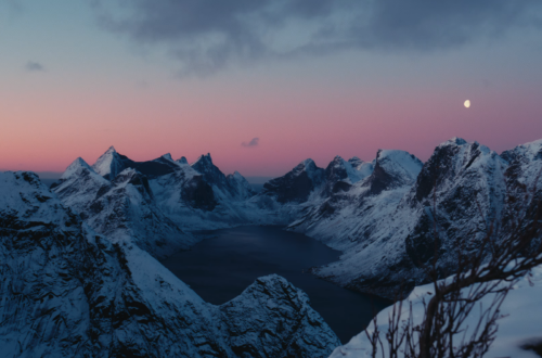 Peaceful nature scene representing calm and healing after survival mode