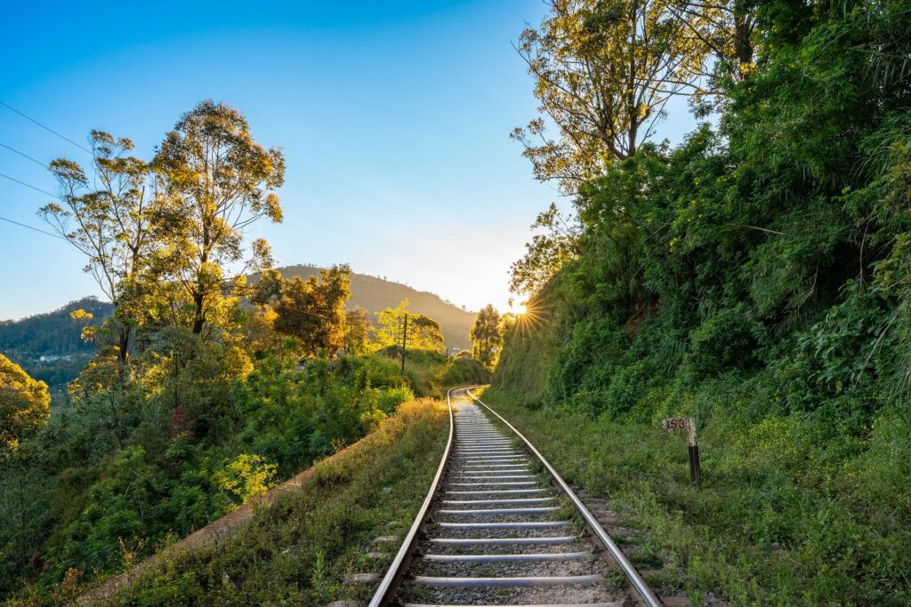 Railroad tracks running through a green landscape at sunset