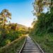 Railroad tracks running through a green landscape at sunset