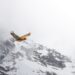 Bird flying over snow-covered mountains