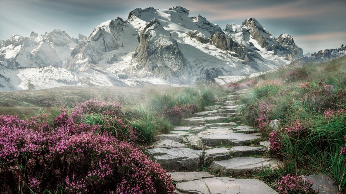 Stone pathway winding through purple wildflowers toward snow-covered mountains.